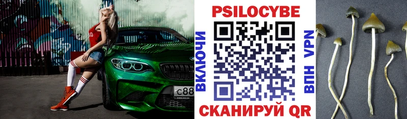 Галлюциногенные грибы Psilocybe  Саров 